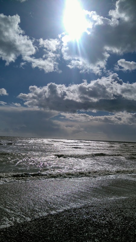 DSC_0077.jpg