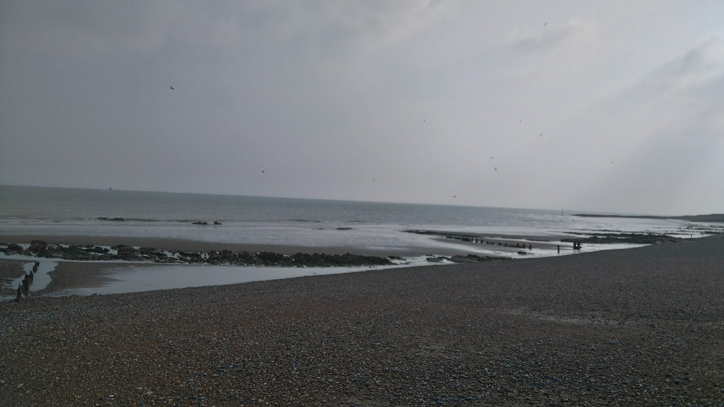 DSC_0109.jpg