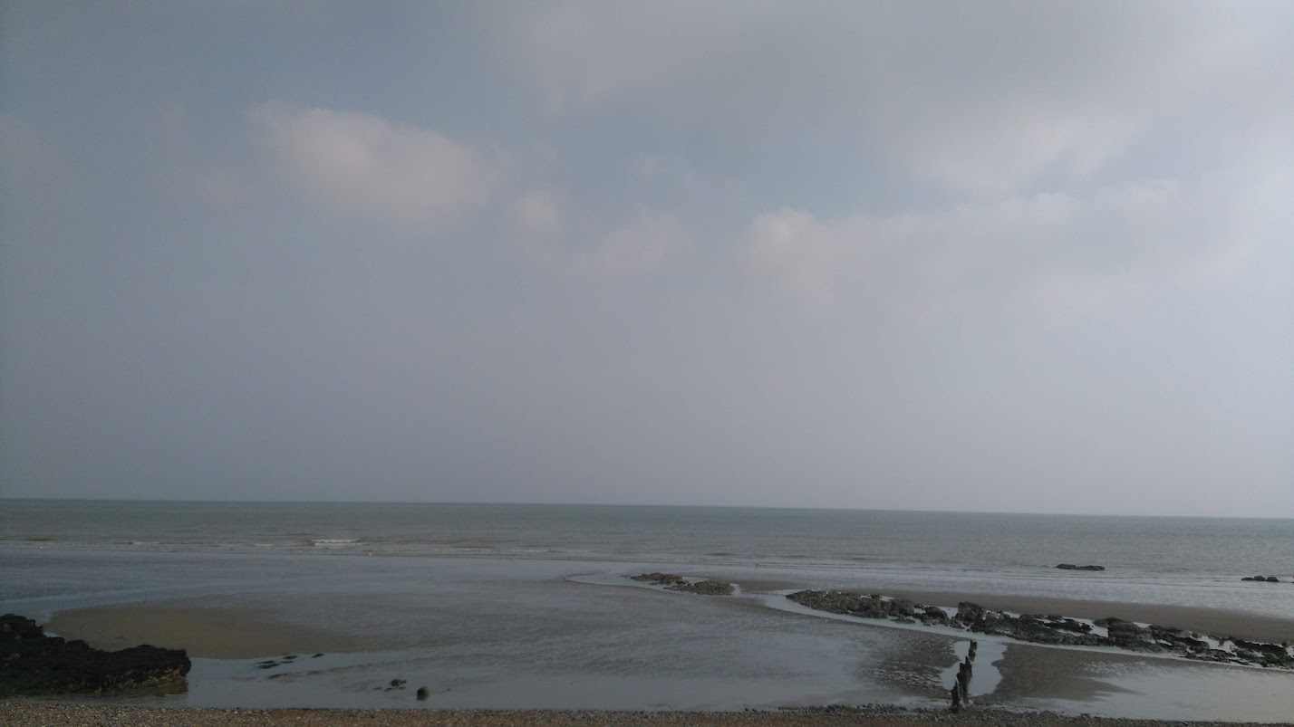 DSC_0113.jpg