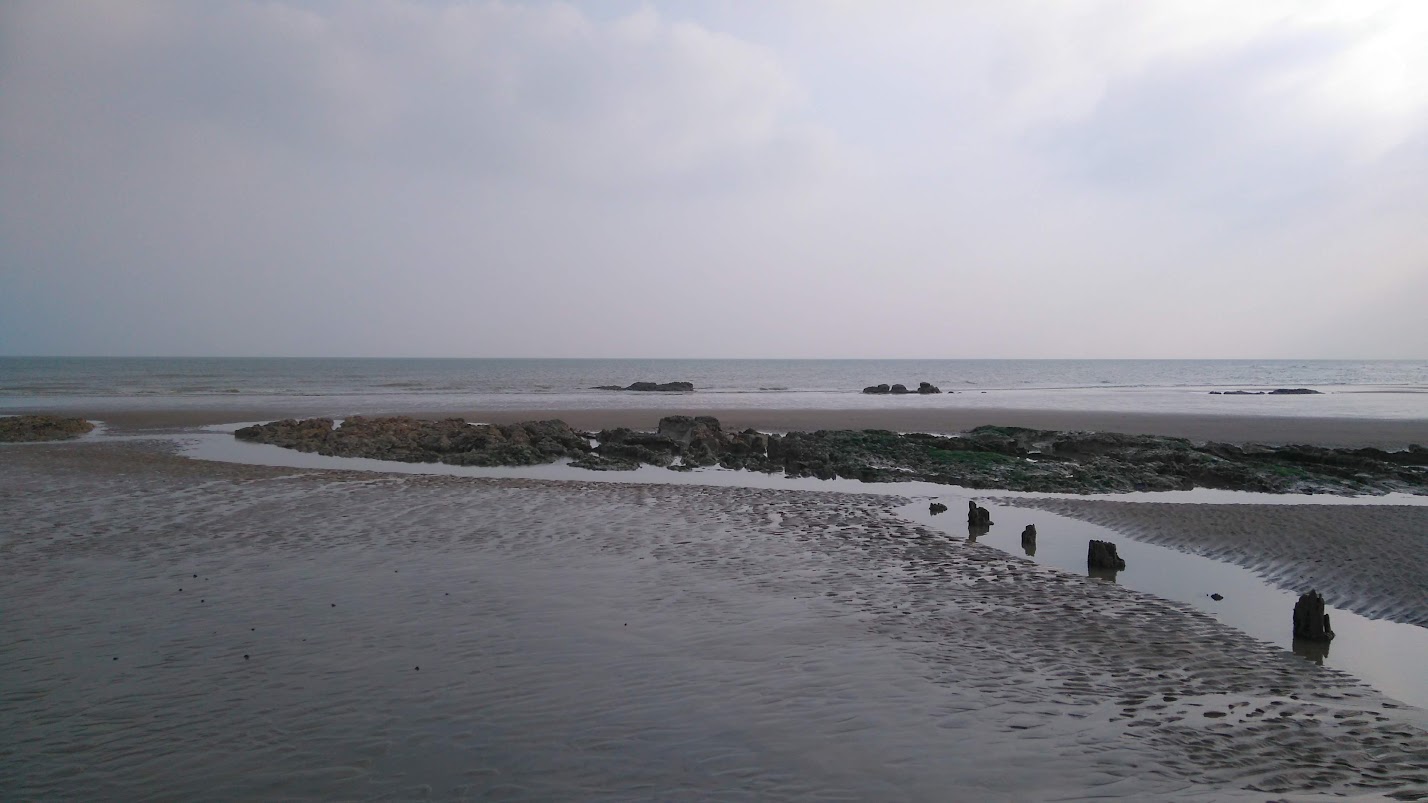DSC_0117.jpg