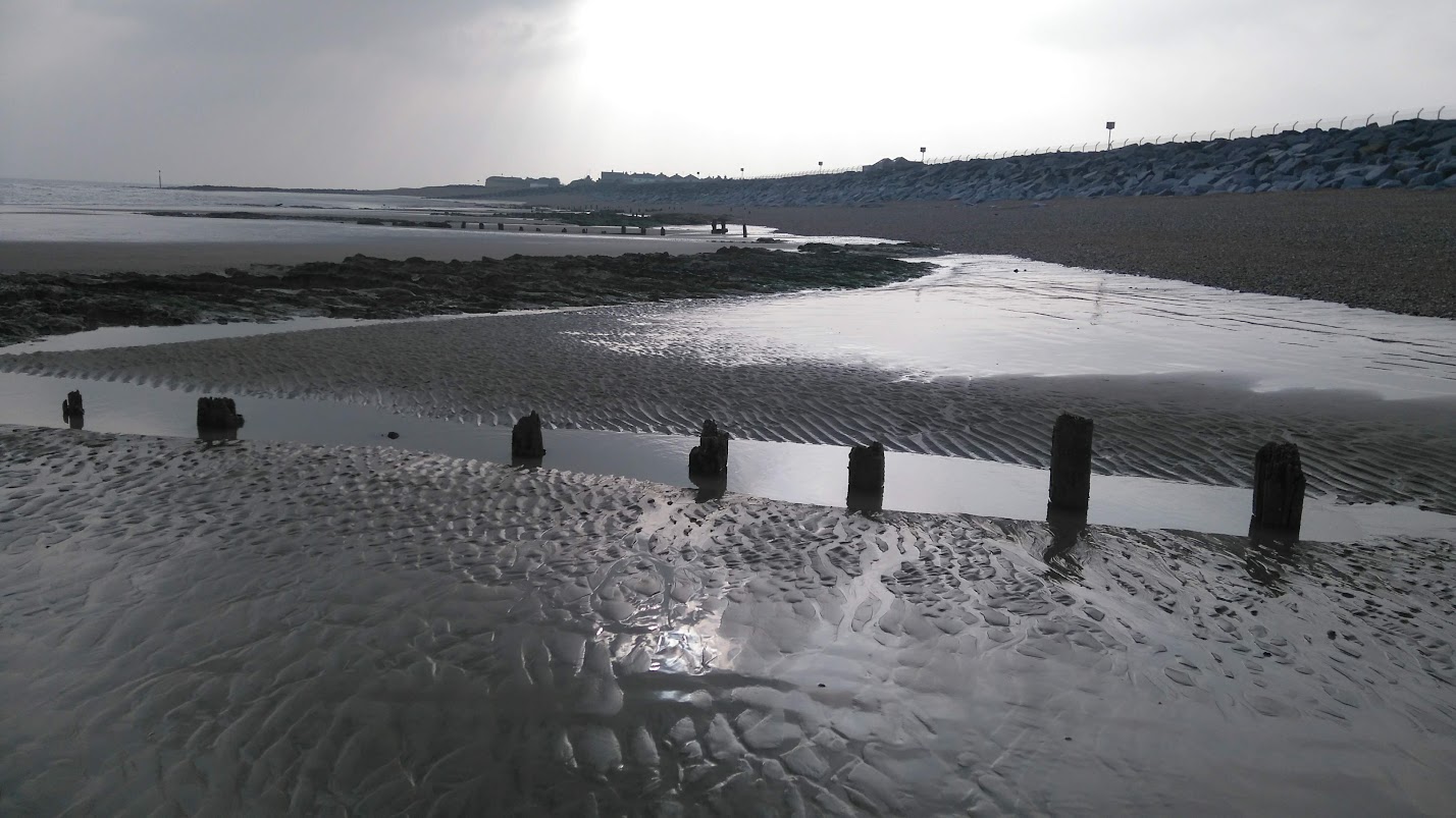 DSC_0120.jpg